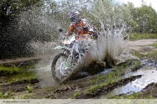 IMG_8429.jpg